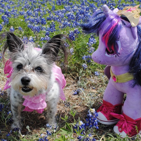 I give free shares for ♥️ - Picture 5 of 9